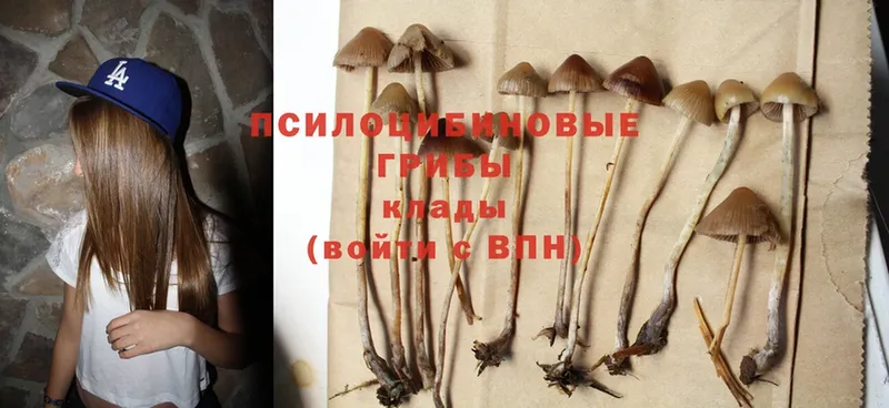 Галлюциногенные грибы Cubensis  мега ССЫЛКА  Ликино-Дулёво  купить наркотик 